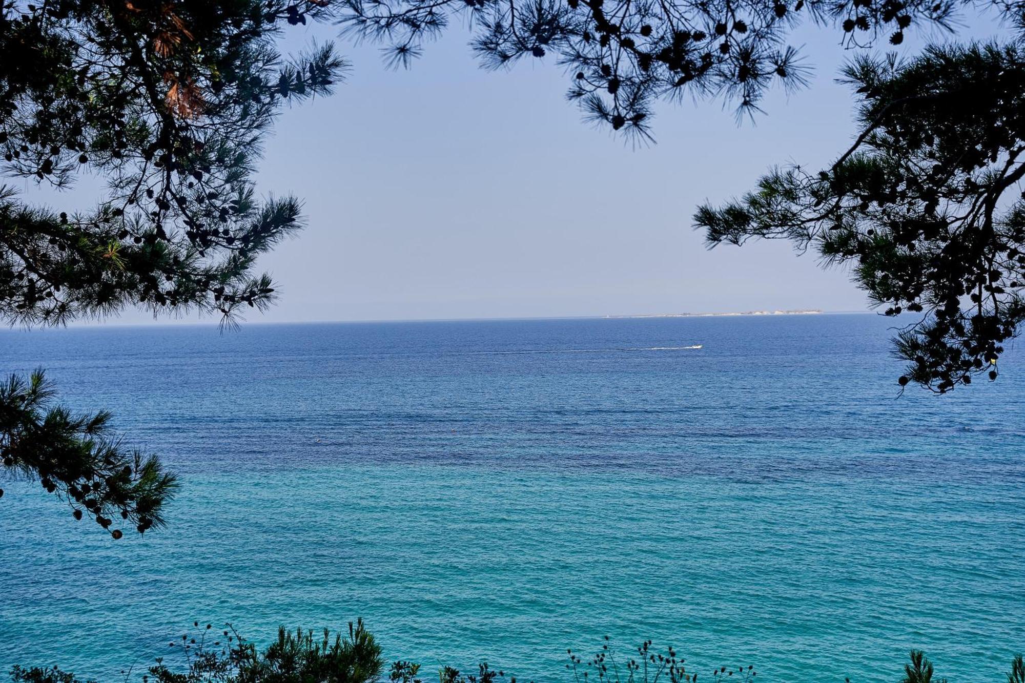 White Rocks Hotel Kefalonia لاسي المظهر الخارجي الصورة